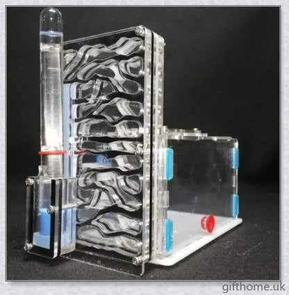 Ant Farm Nest: a captivating DIY project that allows you to observe ants constructing their intricate tunnels and nurturing their young
