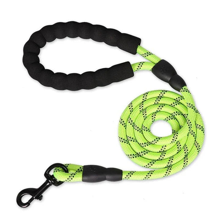 Colourful and durable nylon dog lead in various bright colours, suitable for all dog breeds