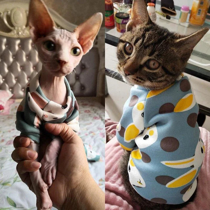 Cat wearing a colourful, printed sweatshirt in a vibrant yellow-bear design