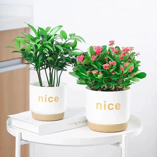 Stylish self-watering planters in various sizes for indoor plants, succulents, and flowers