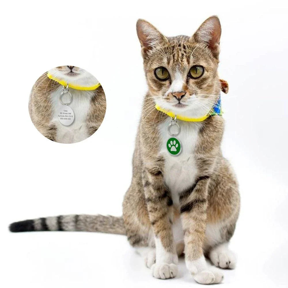 Premium Personalised Pet ID Tag in Various Colours for Cats and Dogs