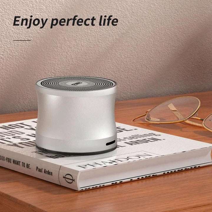 Premium compact Bluetooth speaker with powerful 5W driver, true wireless stereo, and sleek metal casing