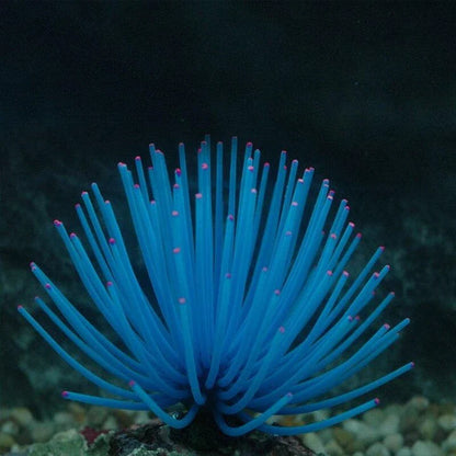 Premium silicone artificial aquatic life decorations in an aquarium, creating a mesmerizing underwater scene