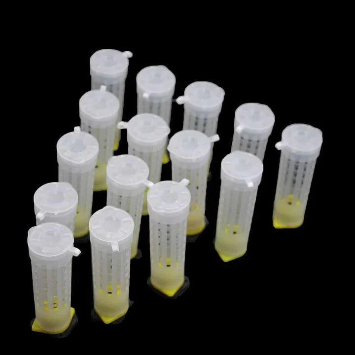Comprehensive 50-piece queen bee rearing kit with plastic cages and cups for beekeepers in the United Kingdom
