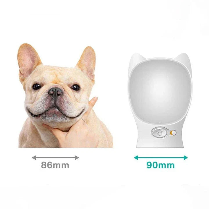 Premium outdoor dog feeding and water bottles in various sizes, featuring robust ABS construction and spill-proof design for hassle-free hydration and nourishment on the go.