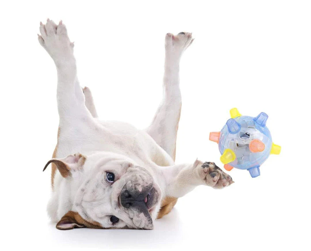 Active Jumping Ball for Dogs with Flashing Lights and Music, Designed to Engage and Entertain Canine Companions