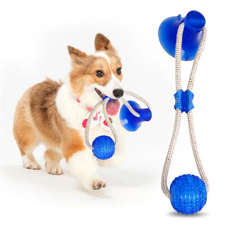 Premium dental cleaning chew toy for pets, made of durable PVC material with a grooved surface to gently massage gums and remove plaque and tartar.