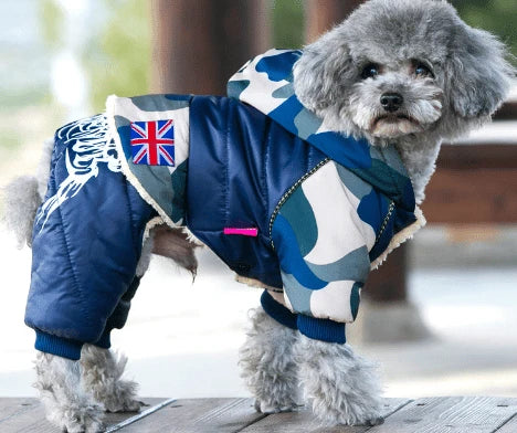 A cosy and stylish dog jacket in various colours, designed to keep canine companions warm and dry during autumn and winter adventures.