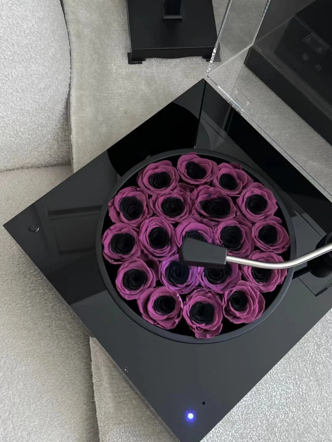 Elegant black plum bow flower pot with preserved plum blossoms, a sophisticated and long-lasting home decor piece