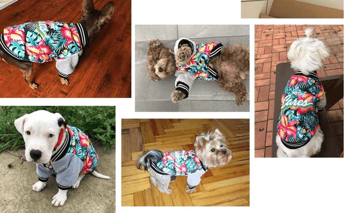 A stylish and cosy dog jacket made of premium cotton to keep small breeds warm during autumn and winter