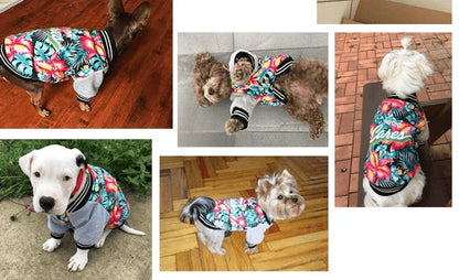 A stylish and cosy dog jacket made of premium cotton to keep small breeds warm during autumn and winter