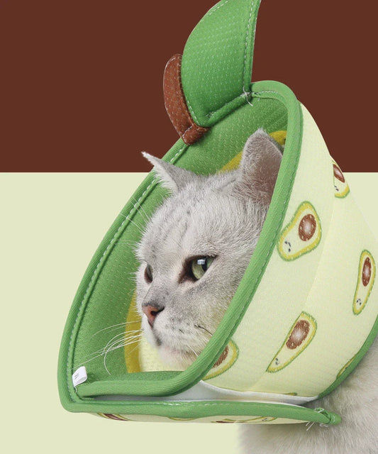 Stylish 3D printed pet collar in avocado, akita, and small yellow duck designs with breathable mesh material