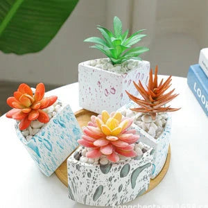 Ceramic succulent planter with bamboo tray, featuring a stylish Nordic-inspired design for indoor greenery