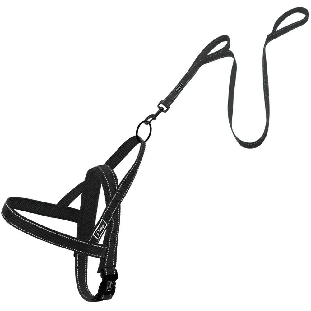 Durable nylon dog harness and leash set in various sizes for comfortable and secure walks with your canine companion