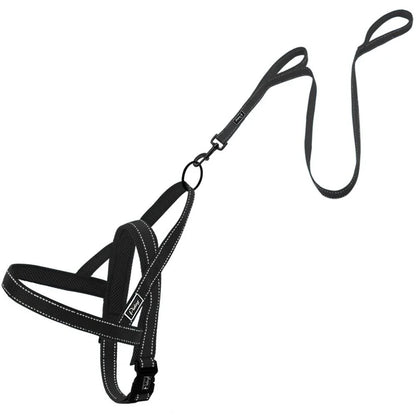 Durable nylon dog harness and leash set in various sizes for comfortable and secure walks with your canine companion