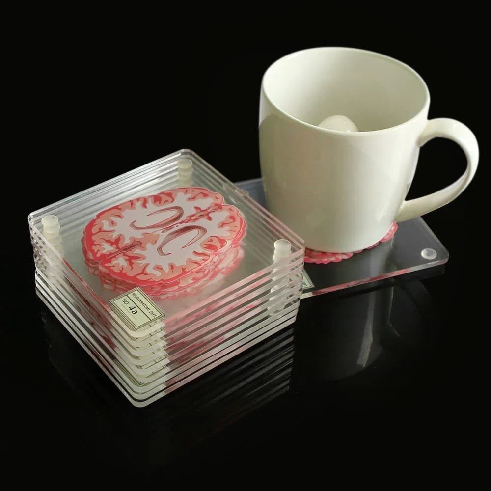 3D Brain Printed Table Coasters with a transparent, captivating design