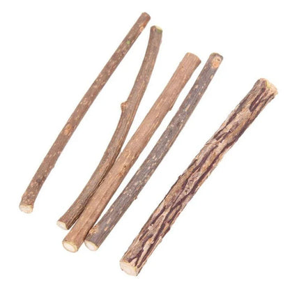 Premium catnip-infused dental chews for cats, designed to clean teeth and freshen breath
