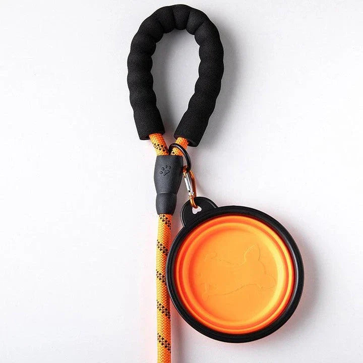 Colourful and durable nylon dog lead in various bright colours, suitable for all dog breeds
