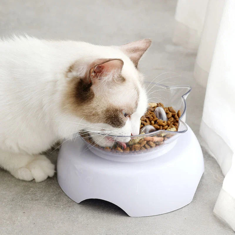 A white 15-degree inclined pet bowl with a non-slip stand, designed to provide a comfortable and healthy mealtime experience for cats and small dogs.