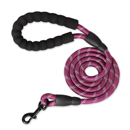 Colourful and durable nylon dog lead in various bright colours, suitable for all dog breeds