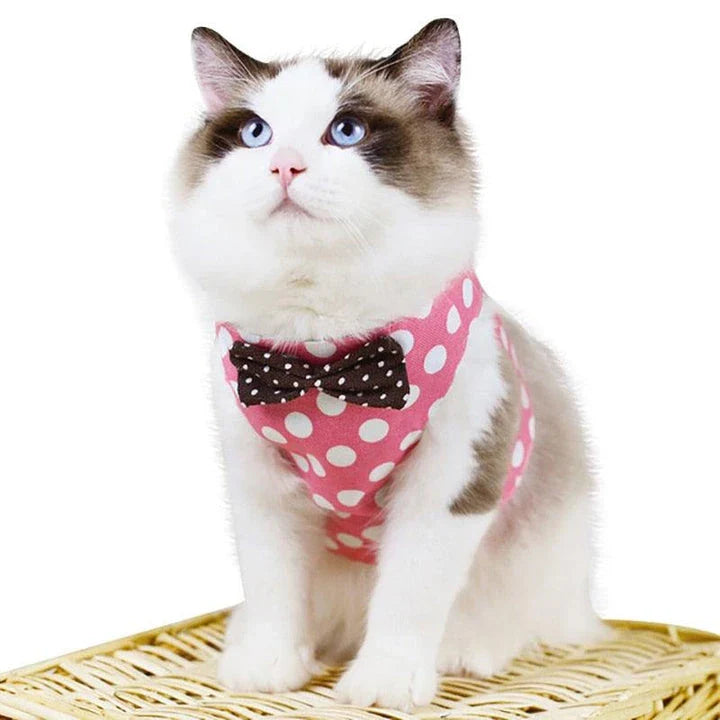 Premium cat harness with adjustable straps and leash for outdoor adventures, featuring a sophisticated gentleman's style design.