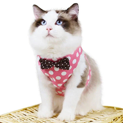 Premium cat harness with adjustable straps and leash for outdoor adventures, featuring a sophisticated gentleman's style design.