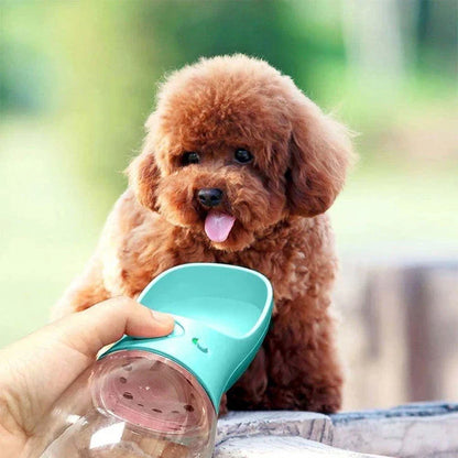 A leak-proof, portable pet water bottle in turquoise colour with a one-hand release button and locking mechanism