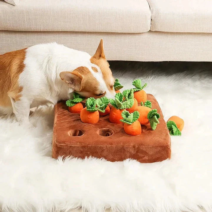 Premium soft plush carrot-shaped dog toy with non-slip backing for engaging, interactive playtime
