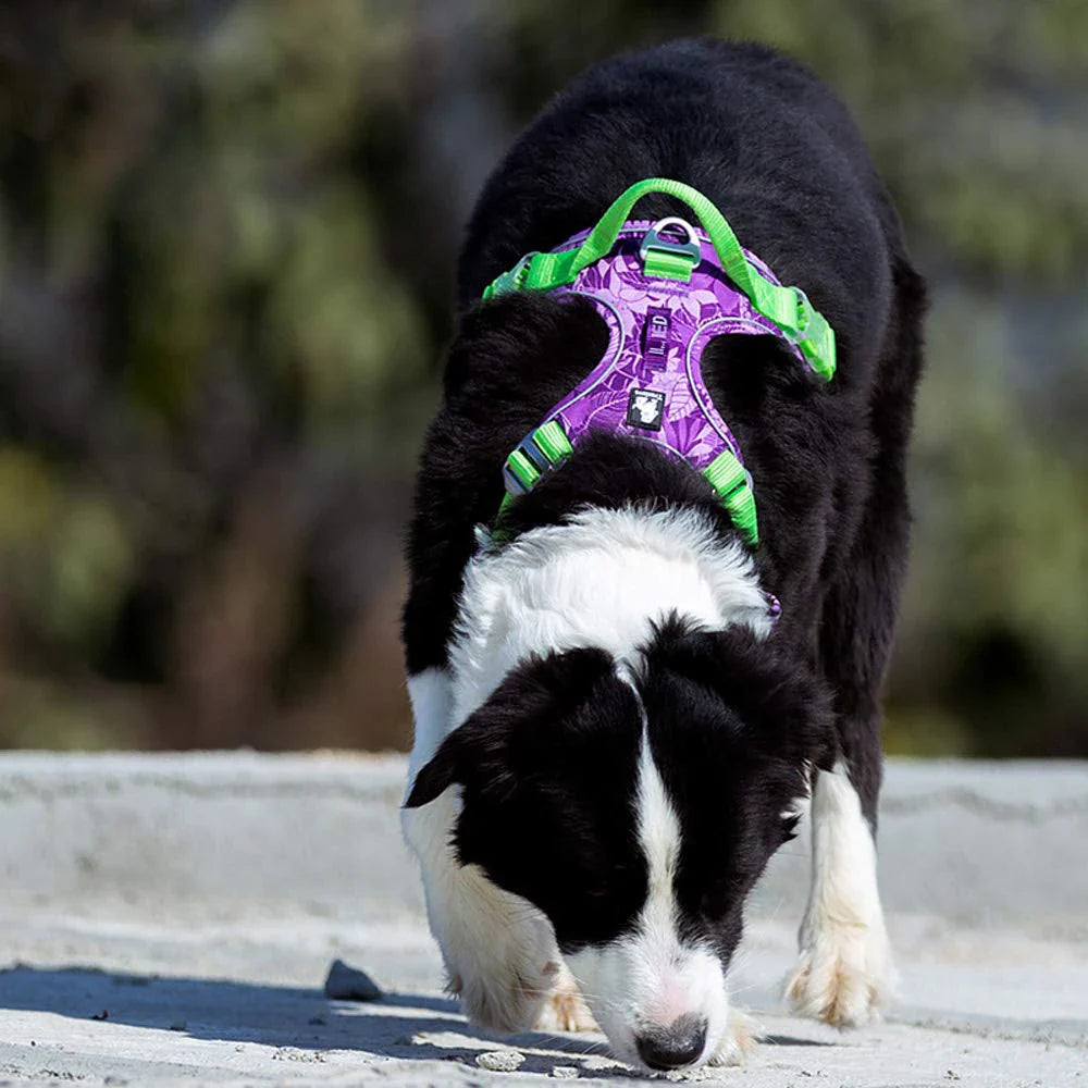 Premium explosion-proof reflective camouflage dog harness with aviation aluminium buckle for enhanced safety and visibility