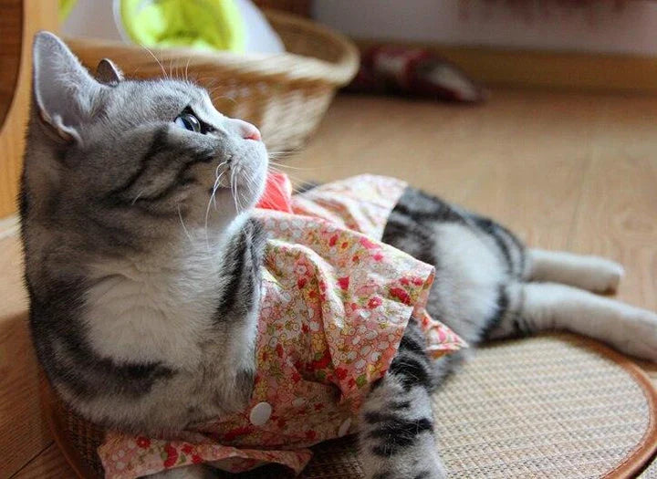 Floral print pet costumes in various sizes for cats and dogs, perfect for spring and autumn celebrations in the UK