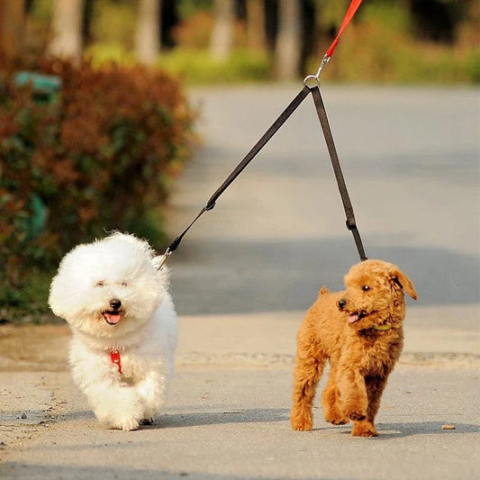 Premium dual-lead dog leash made of nylon with padded handles for secure and comfortable walking