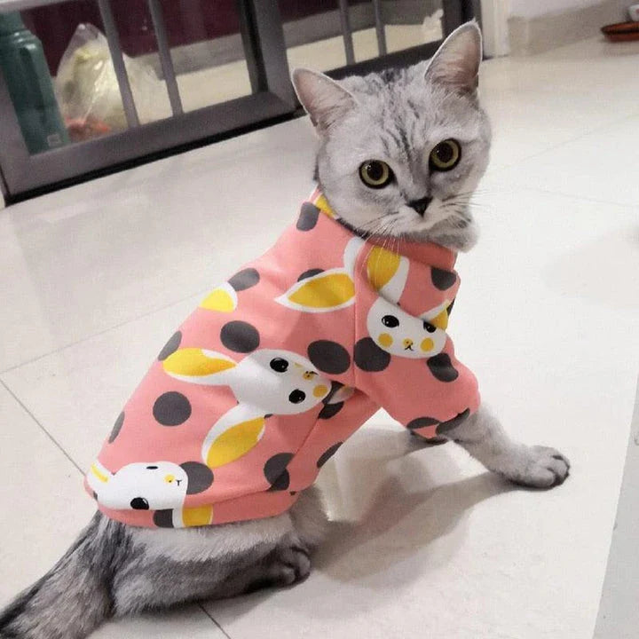 Cat wearing a colourful, printed sweatshirt in a vibrant yellow-bear design