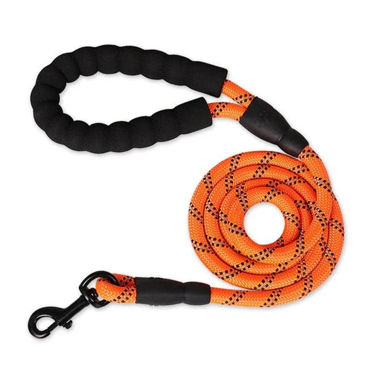 Colourful and durable nylon dog lead in various bright colours, suitable for all dog breeds