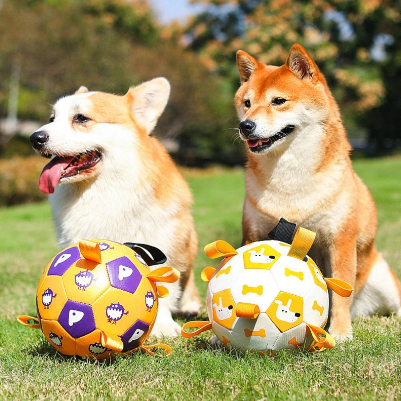 Durable leather interactive dog football toy with grab tabs for outdoor play and training