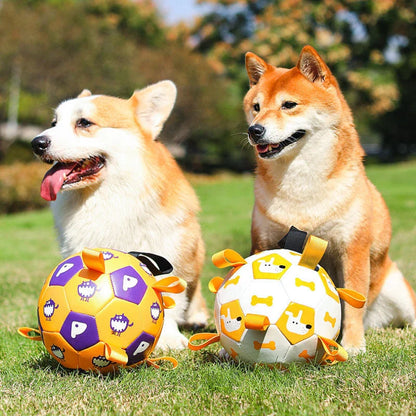 Durable leather interactive dog football toy with grab tabs for outdoor play and training