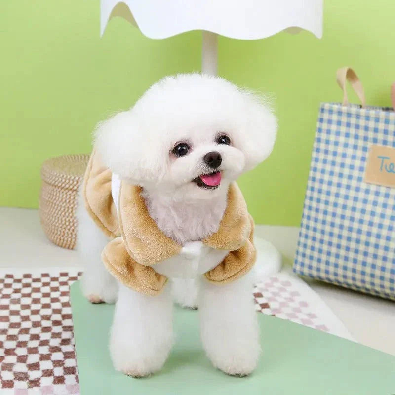 Cosy plush bear dress for dogs and cats, keeping pets warm and stylish during autumn and winter