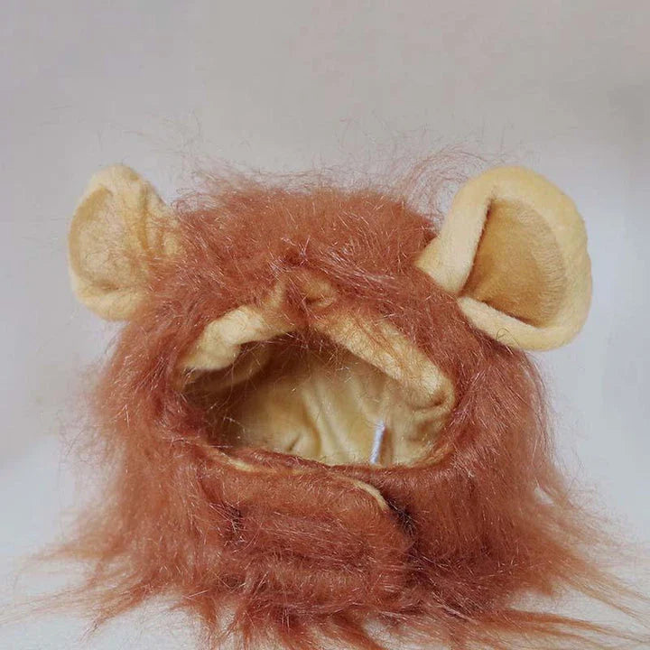 A warm, cosy hat made from premium buckskin material, designed to keep cats comfortable and fashionable