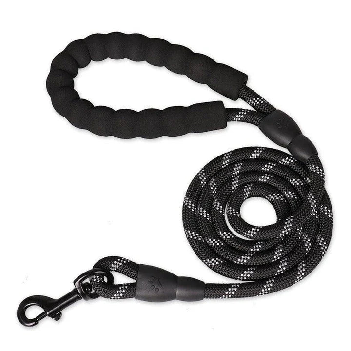 Colourful and durable nylon dog lead in various bright colours, suitable for all dog breeds