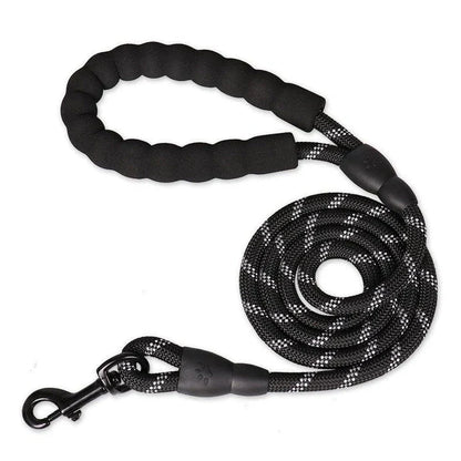 Colourful and durable nylon dog lead in various bright colours, suitable for all dog breeds
