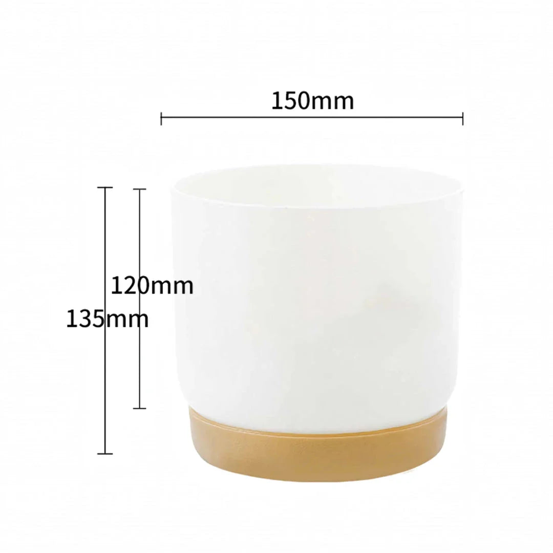 Double-Layer Self-Watering Succulent Plant Pot in White, Suitable for Indoor and Outdoor Decor
