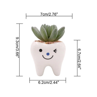 Charming ceramic tooth-shaped planter in white with glossy finish, perfect for succulents and cacti