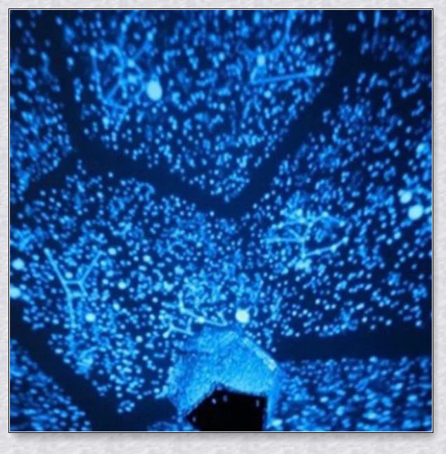 Mesmerising Star Constellation Projector creating a captivating night sky display with changing colours, perfect for relaxation and sleep