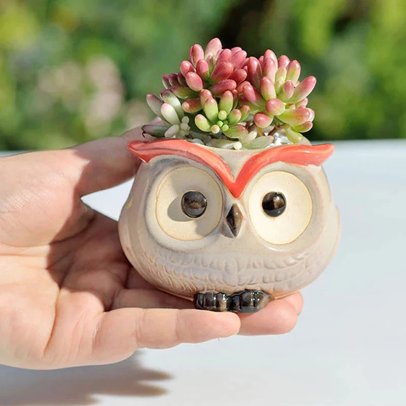 Adorable owl-shaped ceramic flower pot in white, suitable for succulents and small plants