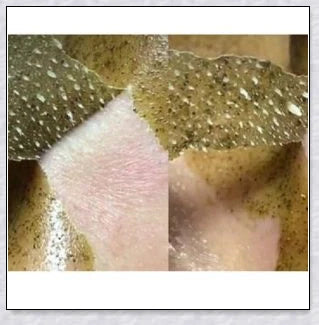 Nourishing Green Tea Peel-Off Mask with botanical extracts for a radiant, healthy-looking complexion