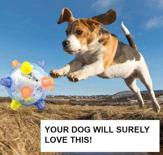 Active Jumping Ball for Dogs with Flashing Lights and Music, Designed to Engage and Entertain Canine Companions