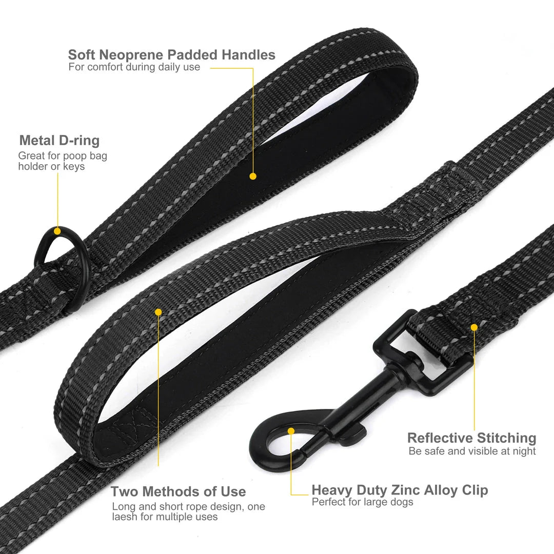 Premium 5ft Dual-Handle Reflective Nylon Dog Leash with durable nylon construction, padded handles, and reflective stitching for enhanced visibility