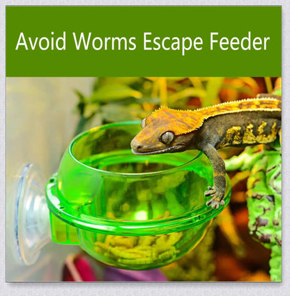 Premium Chameleon Lizard Suction Cup Feeder Set with soft, flexible suction cups for secure glass adhesion and durable construction