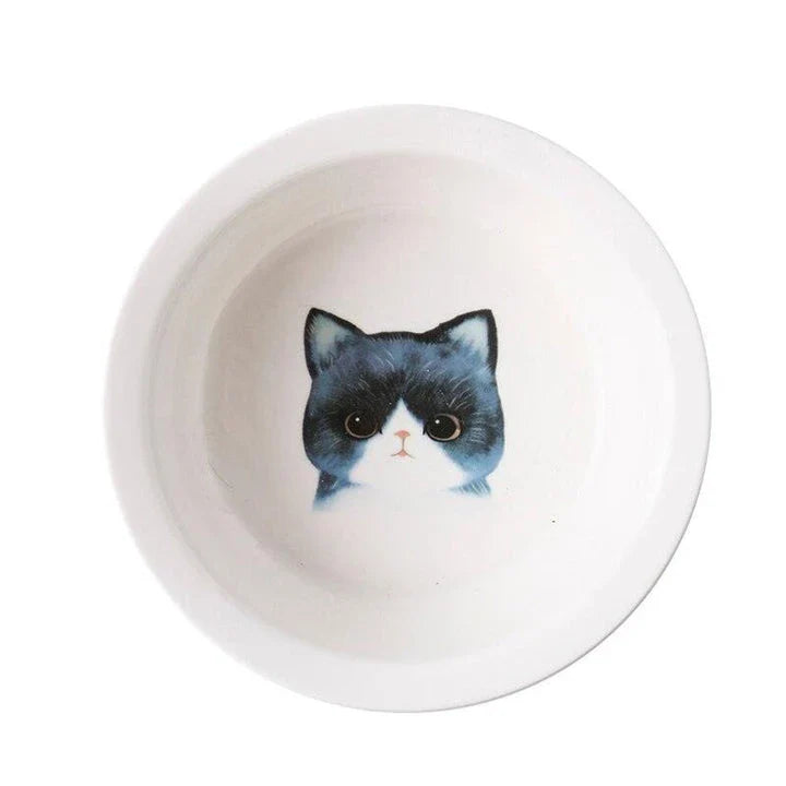 Ceramic Pet Bowl with Tilted Base in various colours, designed for comfort and style
