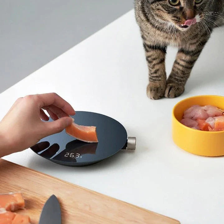 A sleek, stainless steel digital kitchen scale with a vibrant LED display, showcasing precise weighing capabilities up to 5 kilograms.