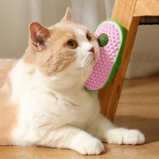 Cosy cat self-grooming brush with catnip compartment, made of eco-friendly ABS plastic and soft TPE rubber bristles